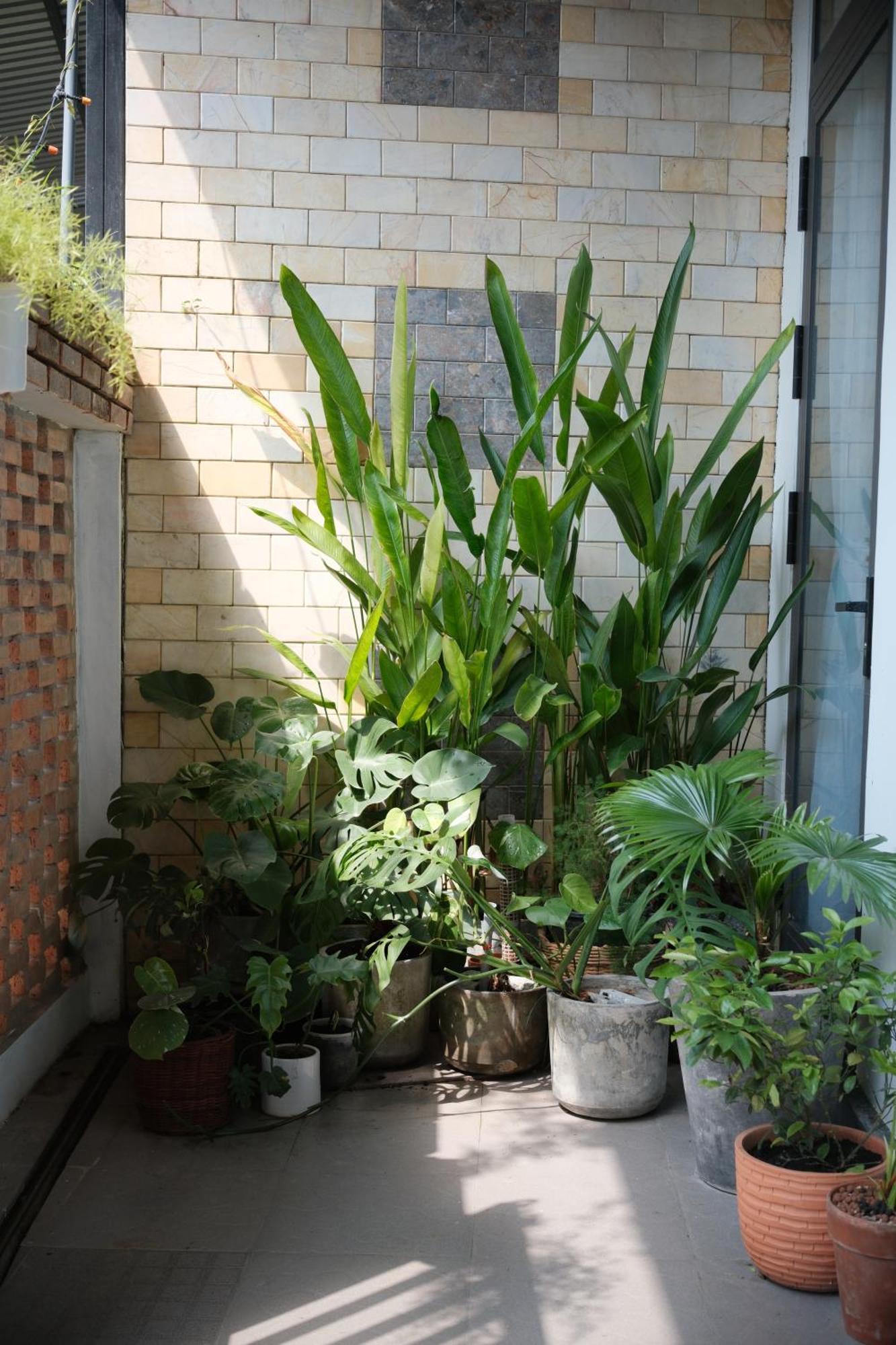 Glory Hue Homestay מראה חיצוני תמונה